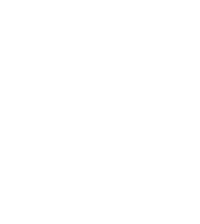 ChevronLogo3